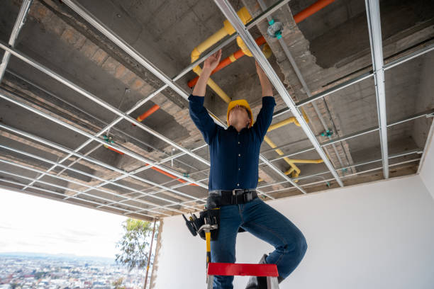 Best Plumbing Inspection Services  in Suwanee, GA